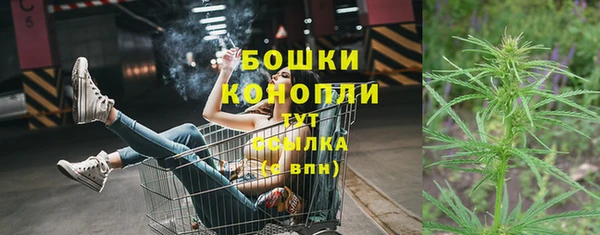 амф Богородицк