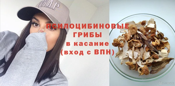 Альфа ПВП Богданович